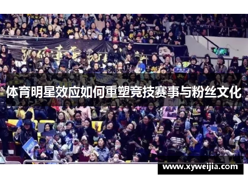 体育明星效应如何重塑竞技赛事与粉丝文化