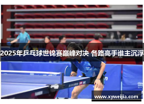 2025年乒乓球世锦赛巅峰对决 各路高手谁主沉浮