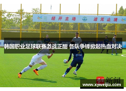 韩国职业足球联赛激战正酣 各队争锋掀起热血对决