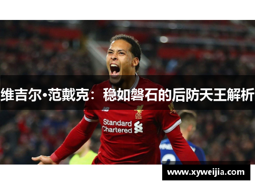 维吉尔·范戴克：稳如磐石的后防天王解析