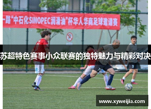 苏超特色赛事小众联赛的独特魅力与精彩对决