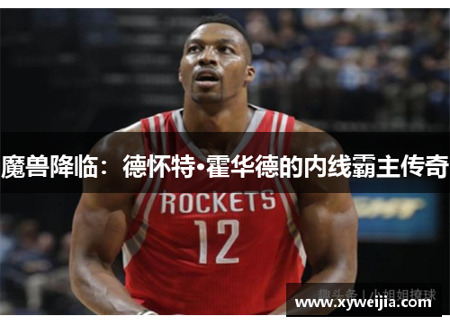 魔兽降临：德怀特·霍华德的内线霸主传奇