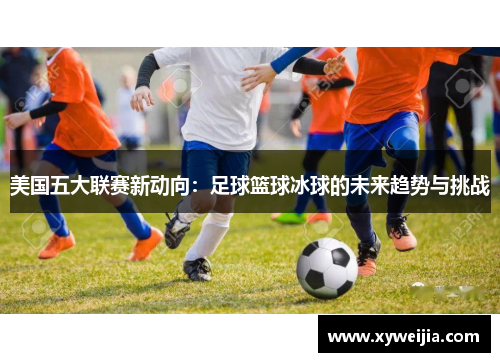 美国五大联赛新动向：足球篮球冰球的未来趋势与挑战